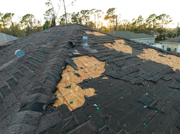 Roof Coating Services in Healdsburg, CA